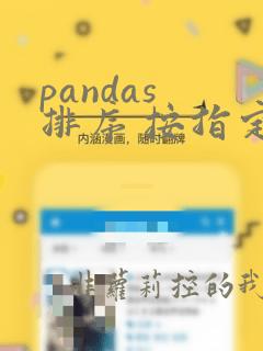 pandas 排序 按指定顺序