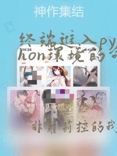 终端进入python环境的命令