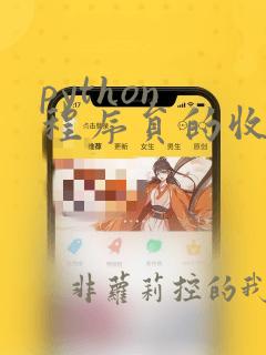 python 程序员的收入