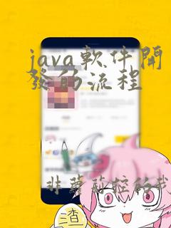 java软件开发的流程