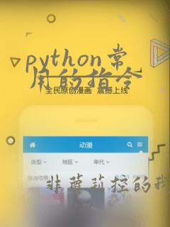 python常用的指令