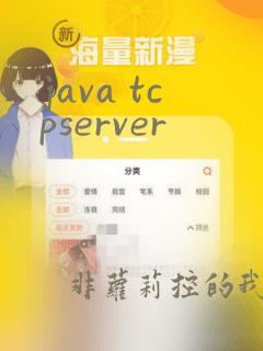 java tcpserver