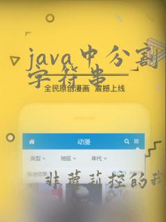 java中分割字符串