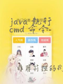 java 执行cmd 命令