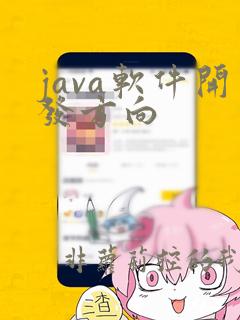 java软件开发方向