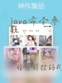 java命令参数