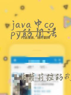 java中copy的用法