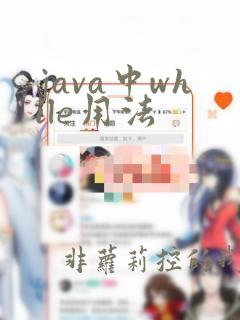 java中while用法