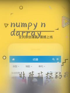 numpy ndarray