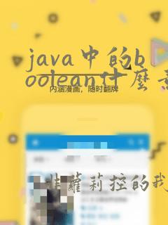 java中的boolean什么意思