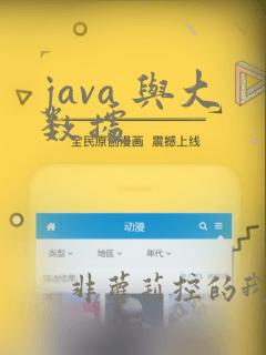 java 与大数据