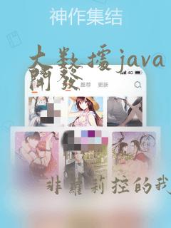 大数据java开发