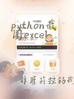 python截图excel