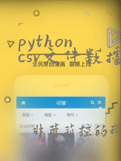 python csv文件数据处理