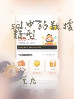 sql中的数据类型