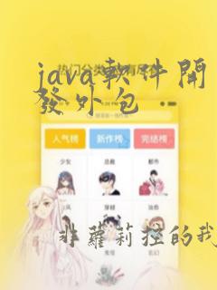 java软件开发外包