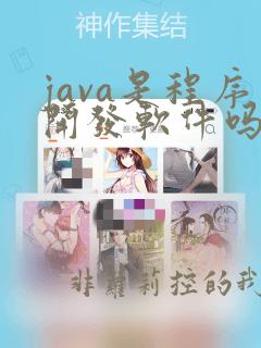 java是程序开发软件吗