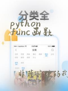 python func函数