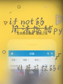 if not的用法总结python