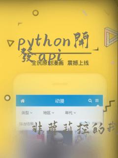 python开发api