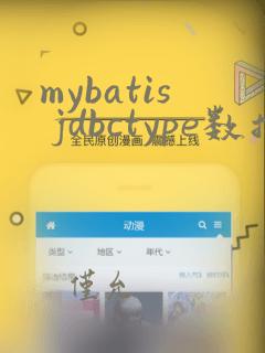 mybatis jdbctype数据类型