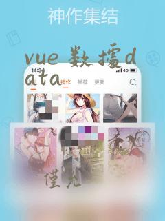 vue 数据data