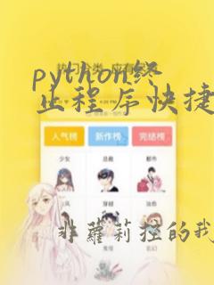 python终止程序快捷键