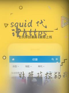 squid 代理https