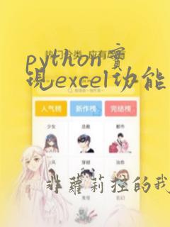 python实现excel功能