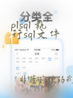 plsql 执行sql文件