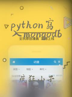python写入mongodb