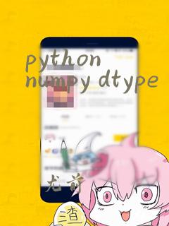 python numpy dtype