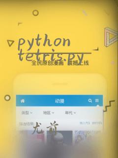 python tetris.py