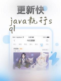 java执行sql