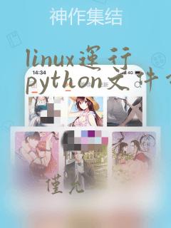 linux运行python文件命令