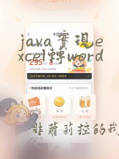 java实现excel转word