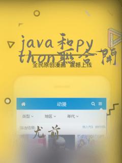 java和python联合开发