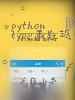 python type函数返回类型