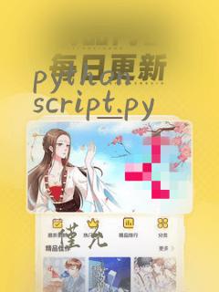 python script.py