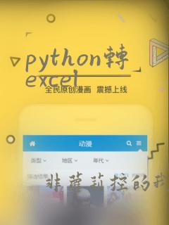 python转excel