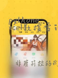 pythonexcel数据处理