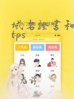 域名证书和https