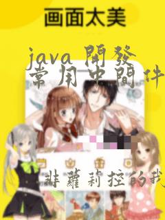 java 开发常用中间件