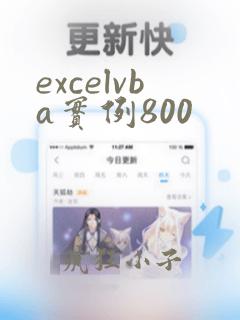 excelvba实例800