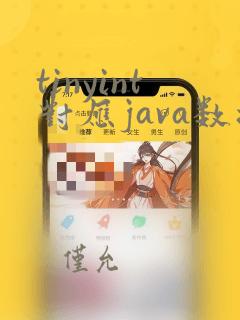 tinyint对应java数据类型