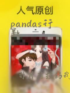 pandas行数