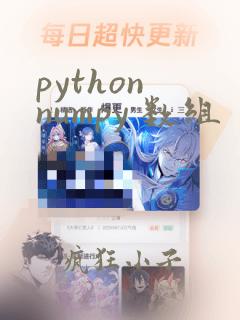 python numpy 数组