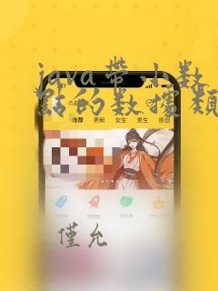 java带小数点的数据类型