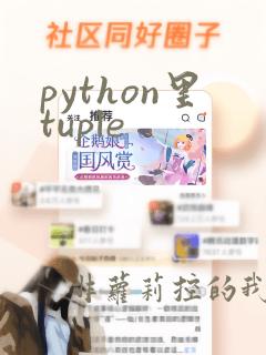 python里tuple