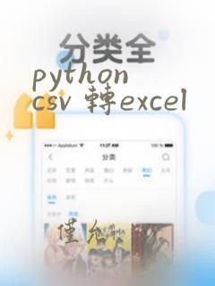 python csv 转excel